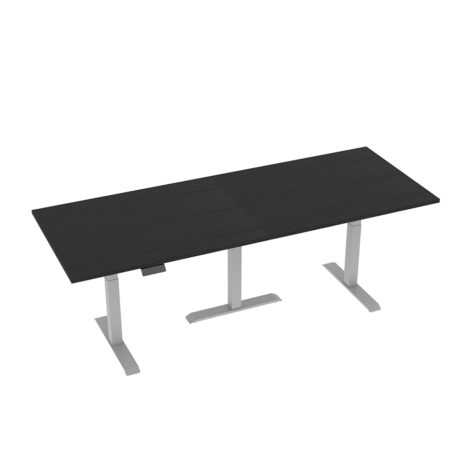Quantum II Series Executive Sit-Stand Desk | Extra Large Electric Standing Desk | 9 Size Options | 9 Laminate Options