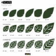 eSCAPE-leaf-measesurements-01-1-1.png